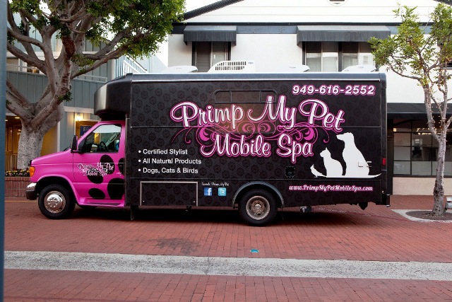 Our Mobile Spa | Primp My Pet Mobile Spa