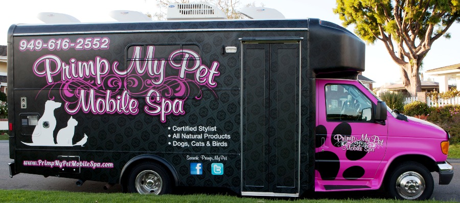 Related Keywords & Suggestions for mobile pet grooming